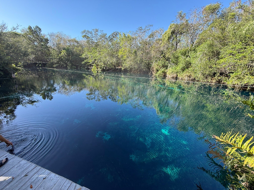 The Cenote Guy - Cenote Diving-普拉亚德尔卡曼必去景点