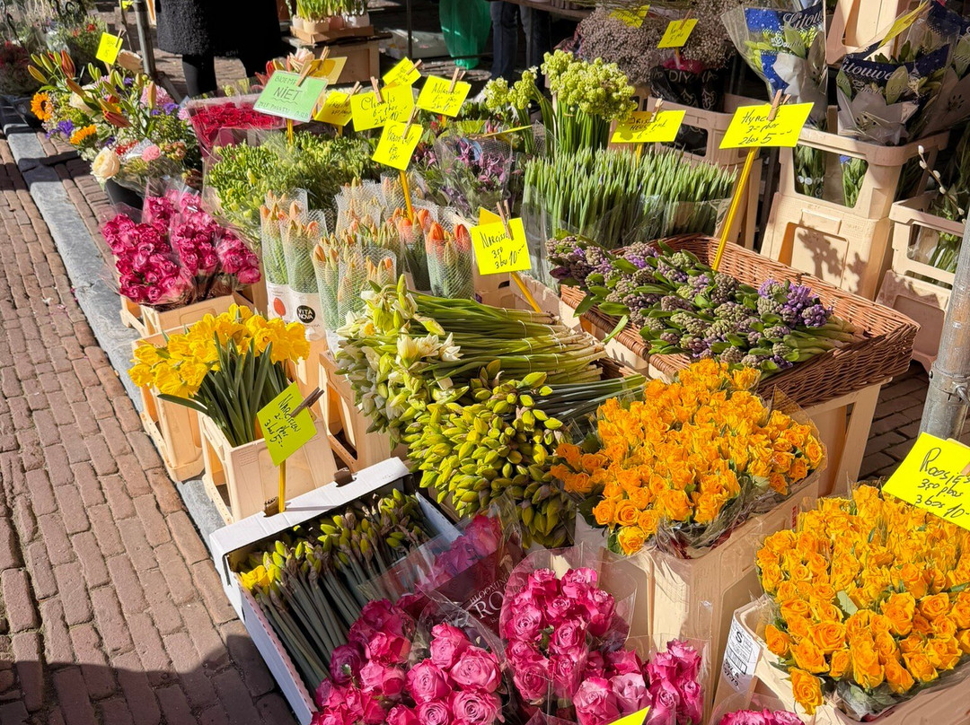 Zaterdagmarkt Haarlem-哈勒姆必去景点