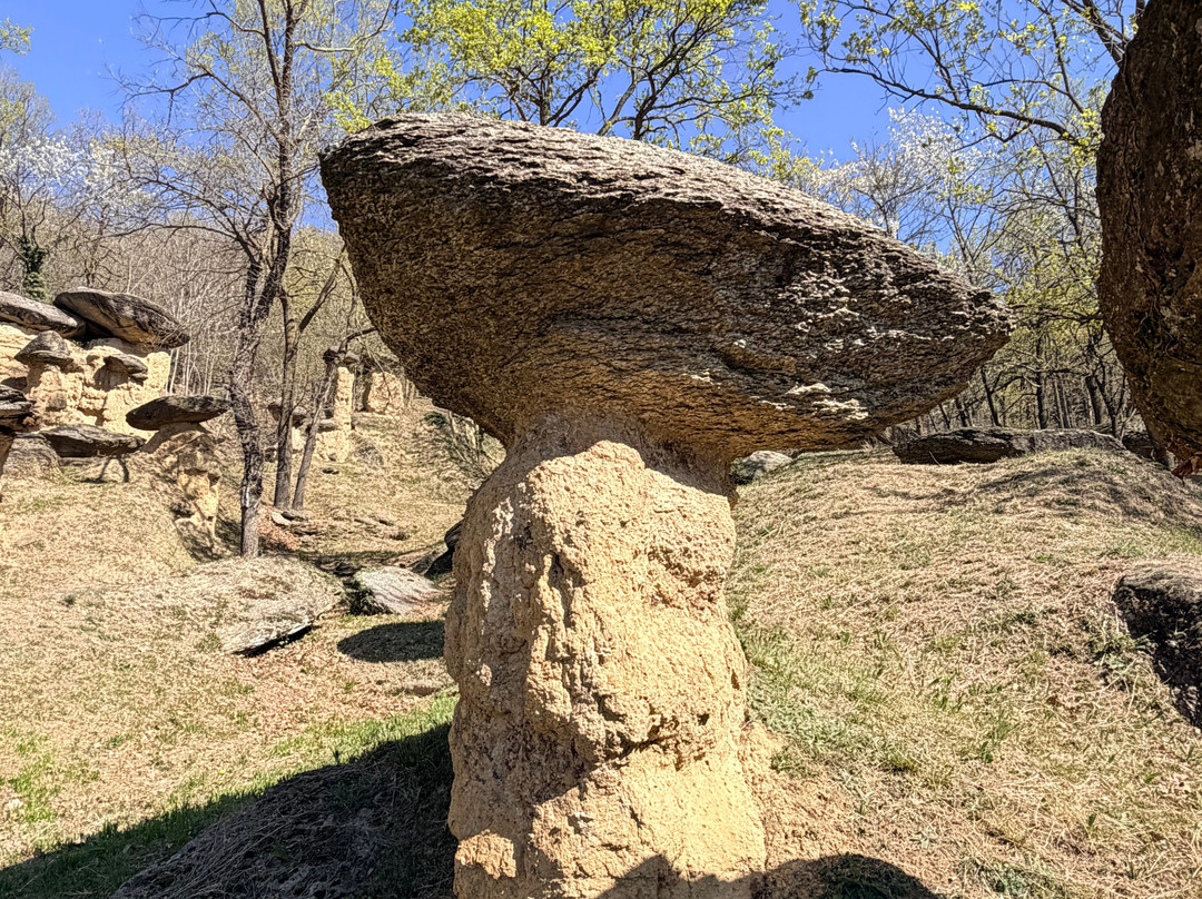 Riserva Naturale dei Ciciu del Villar-Villar San Costanzo必去景点