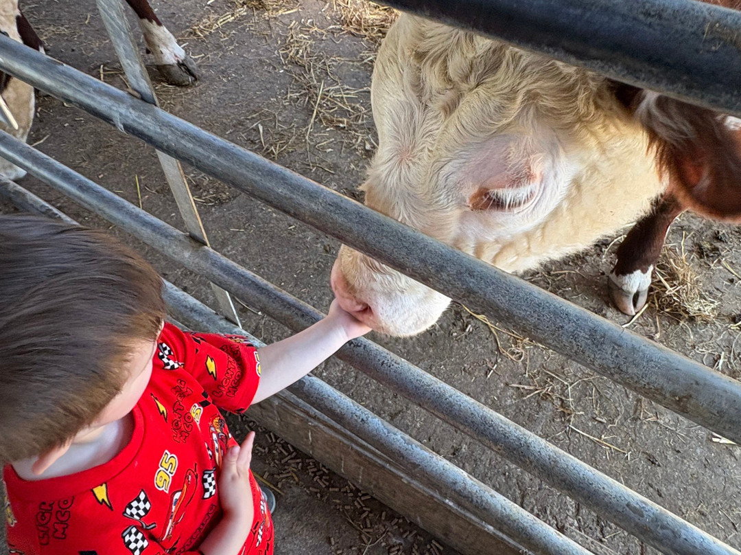 Thrift Farm-Whaddon必去景点