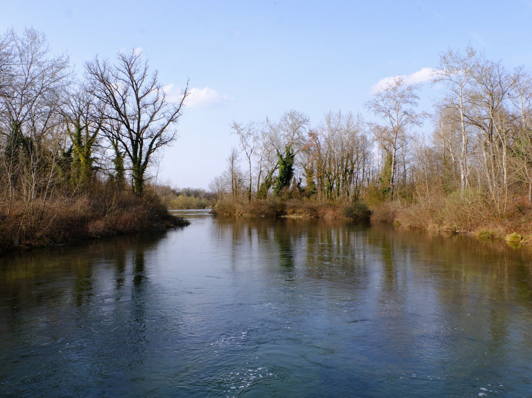 Petite Camargue Alsacienne-圣路易斯必去景点