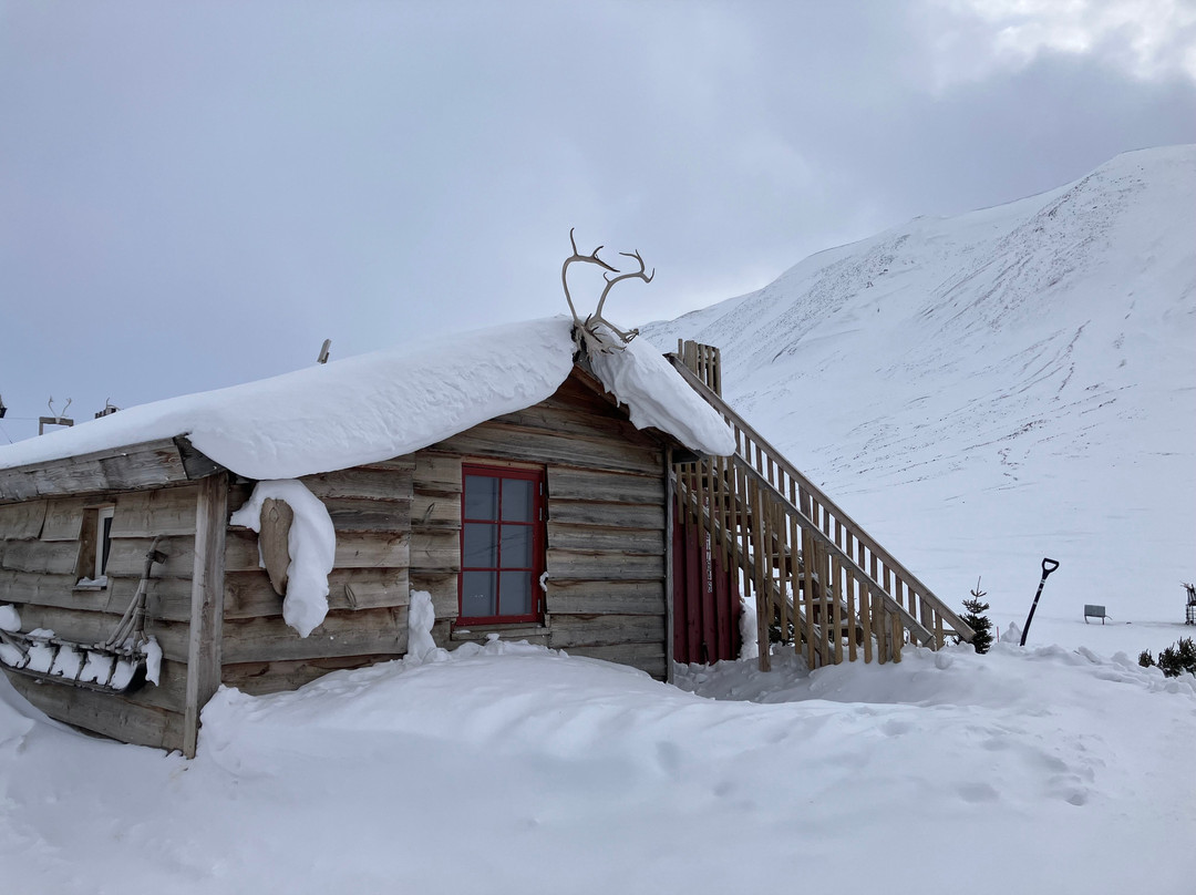 Green Dog Svalbard-朗伊尔城必去景点