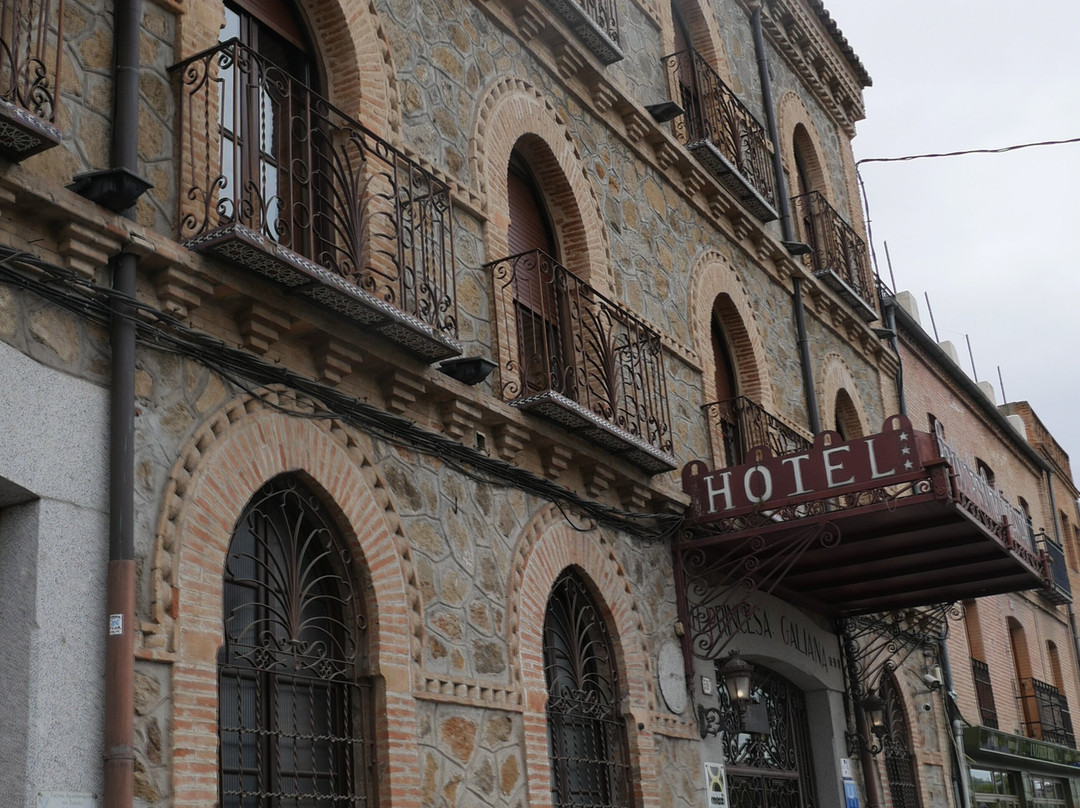 加里安娜公主住宿主图