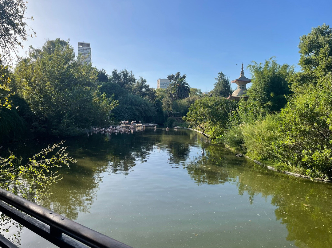 Eco Parque-布宜诺斯艾利斯必去景点