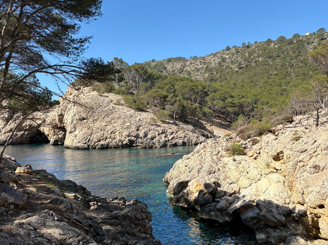 Wander Jürgen Mallorca-帕格拉必去景点