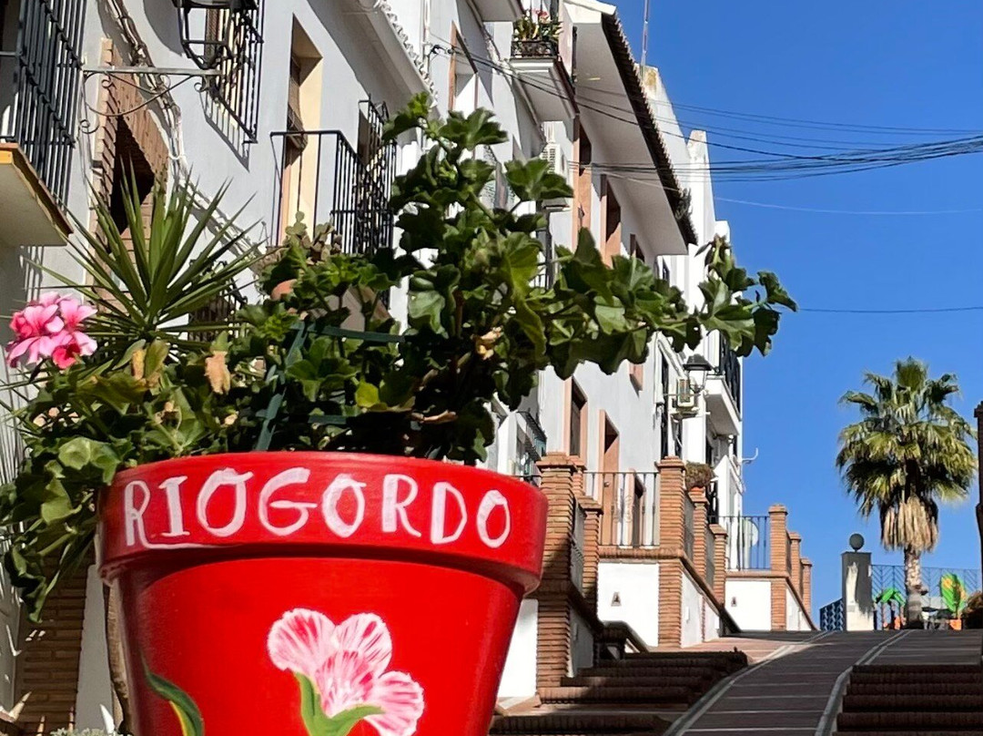 B&b Hacienda Riogordo主图