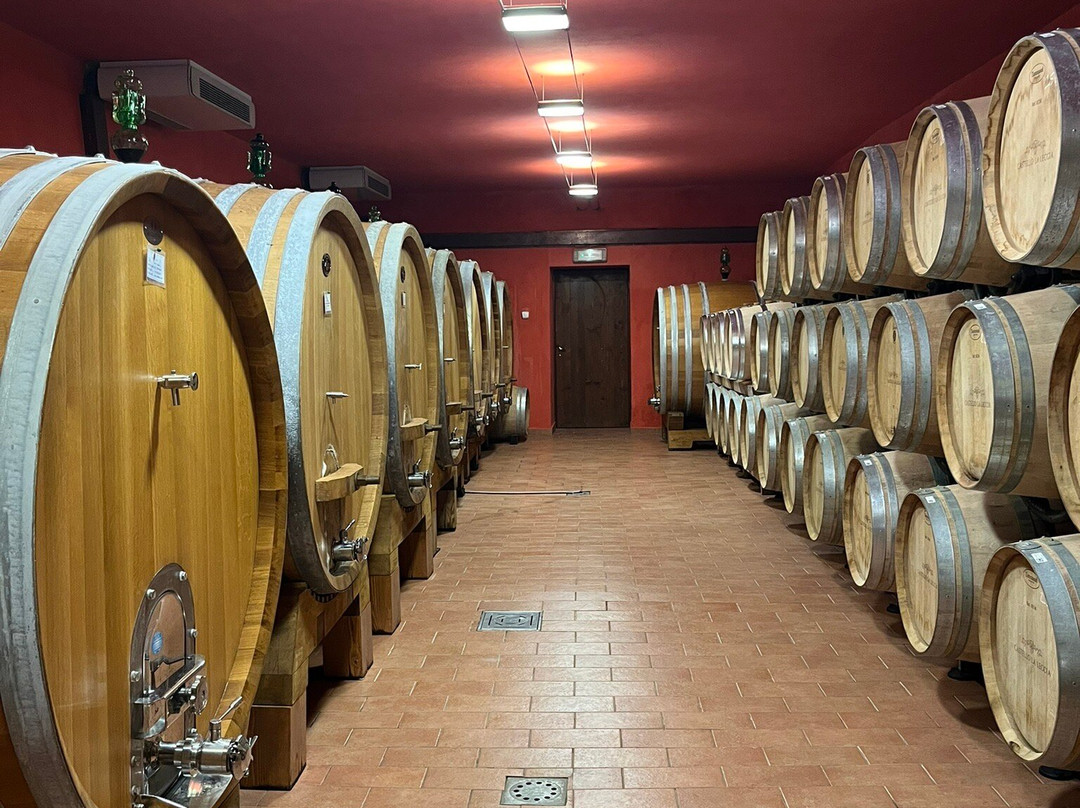 Castello La Leccia-卡斯特利纳－因基安蒂必去景点
