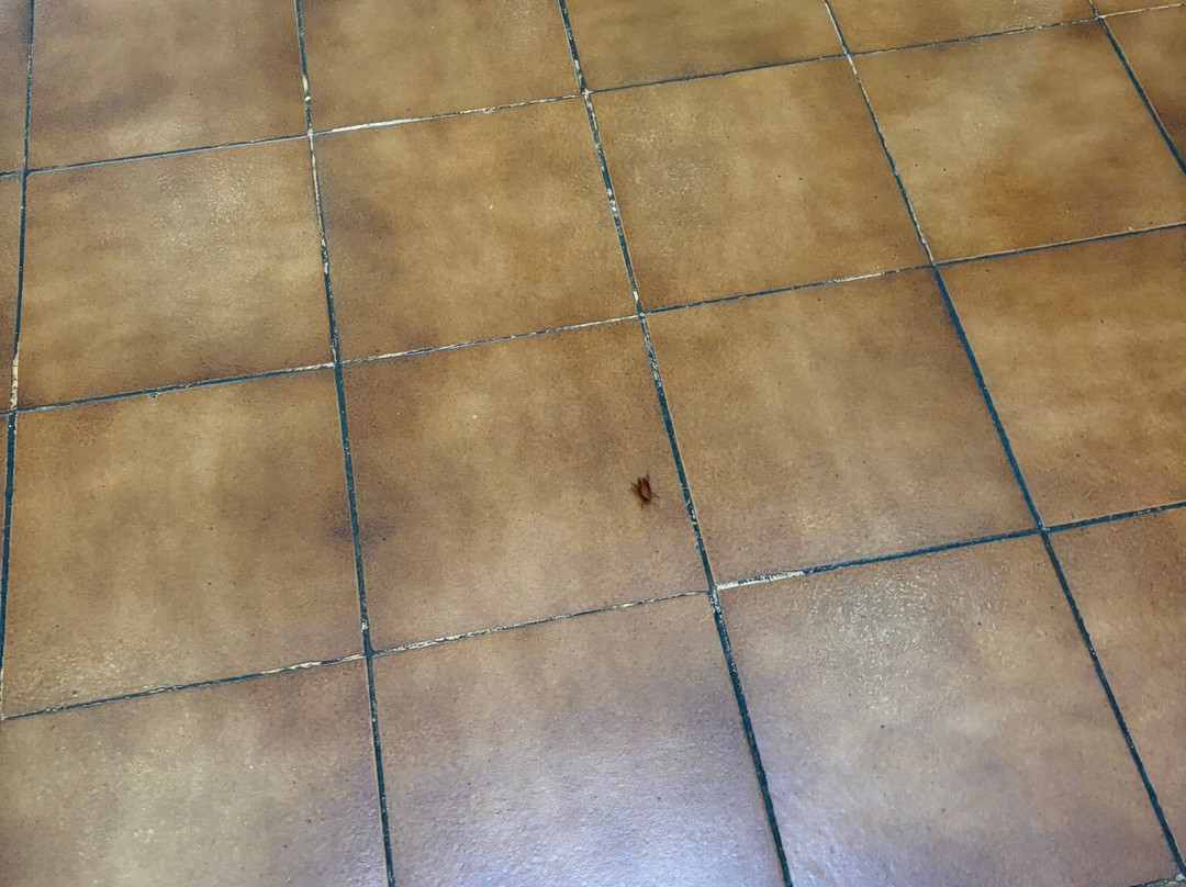 绿洲视野酒店主图
