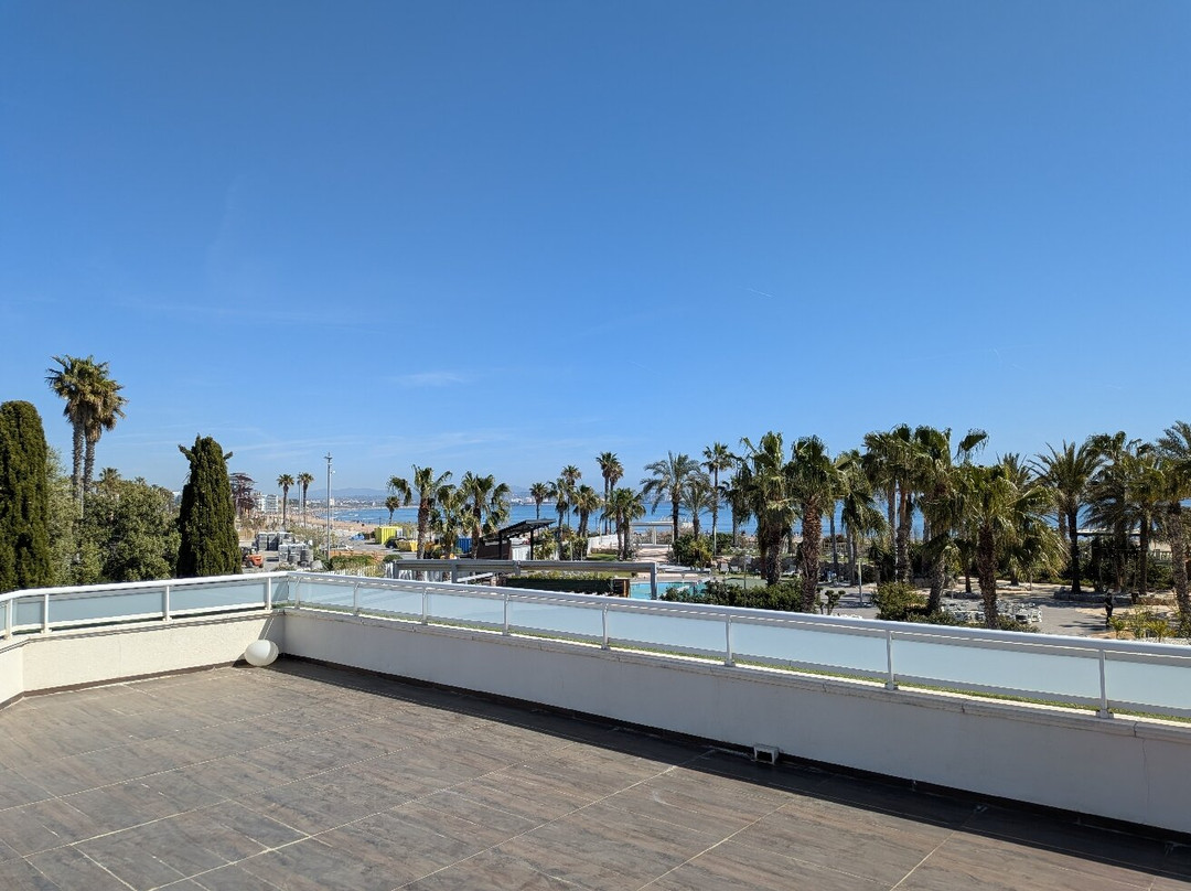 Gran Palas 酒店-包含温泉主图