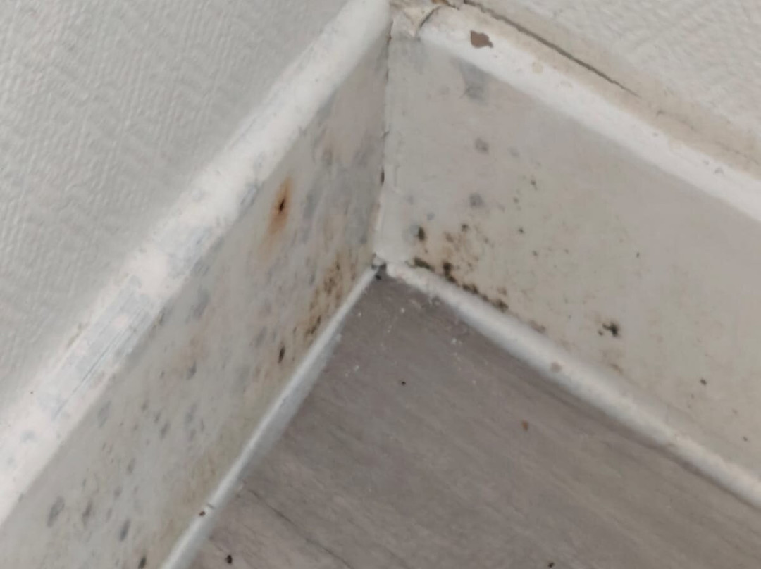 克莱伯酒店主图