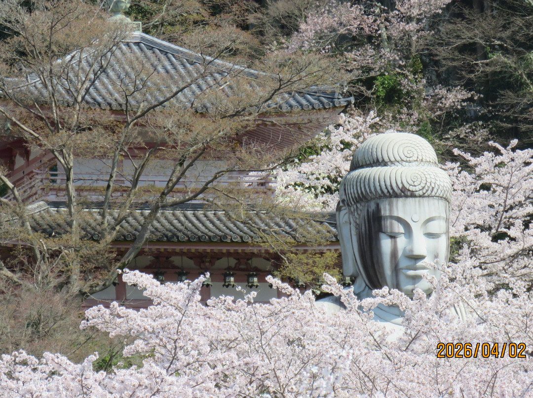 Tsubosaka-dera Temple-高取町必去景点