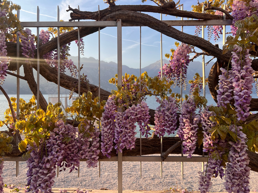 卡斯泰洛湖滨酒店主图