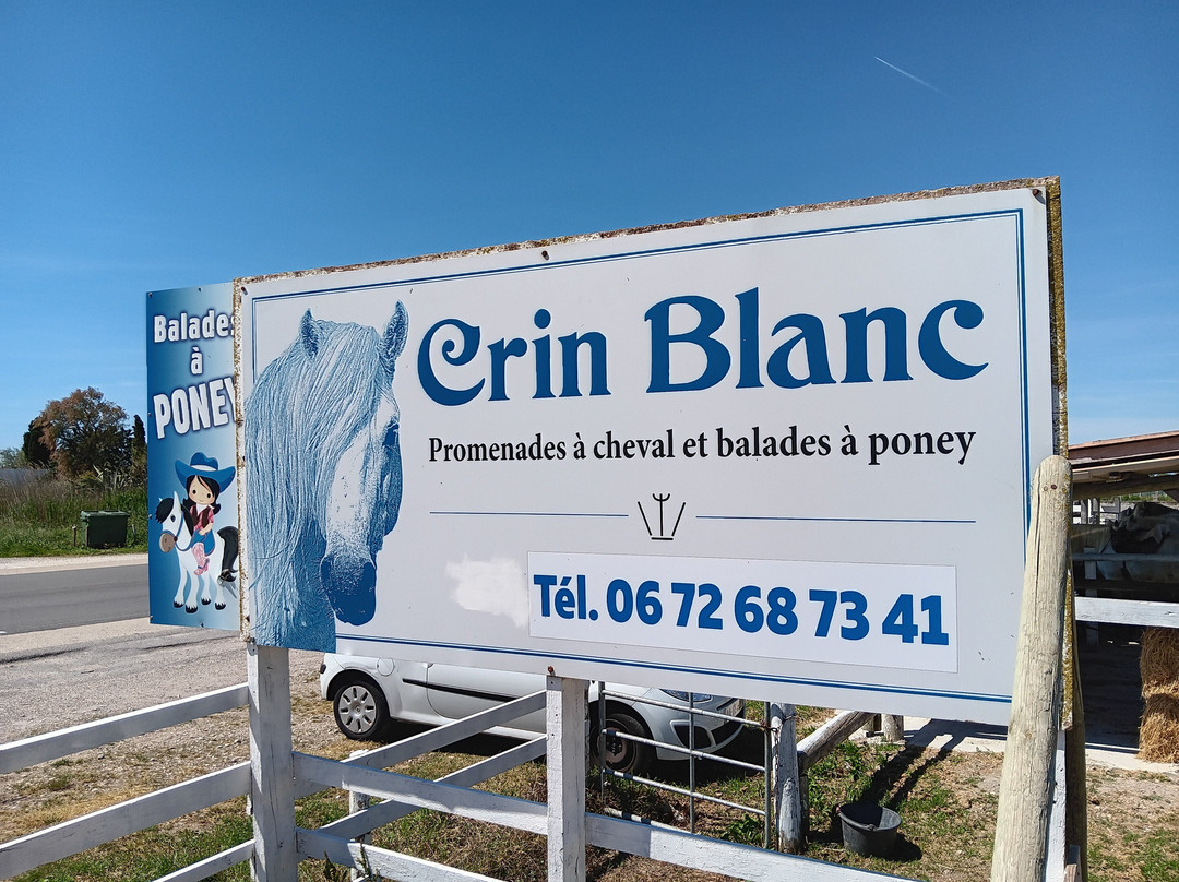 Centre Equestre Crin Blanc-滨海圣玛丽必去景点