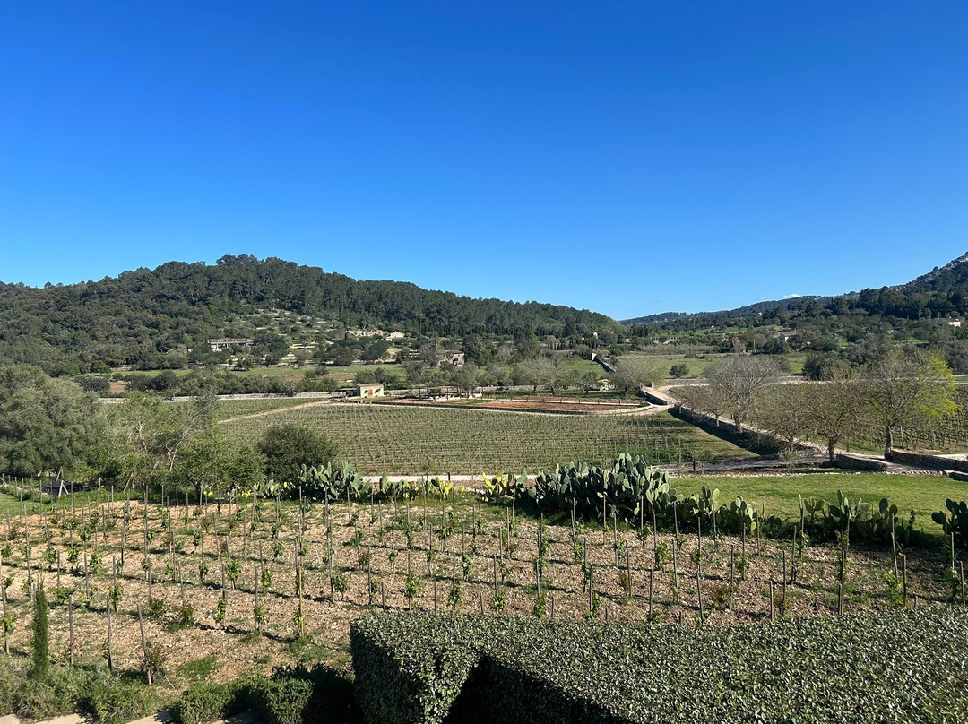 桑布鲁尔水疗酒店主图