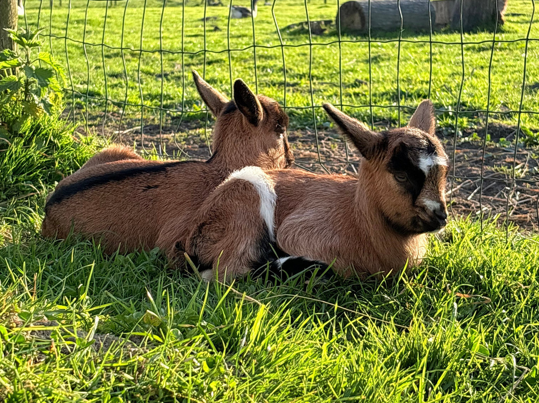 Espaces Equestres Henson-Saint-Quentin-en-Tourmont必去景点