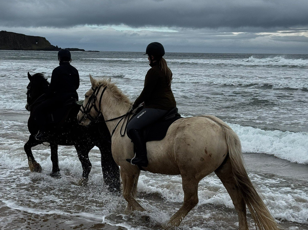 Bespoke Equestrian Ireland-都柏林必去景点