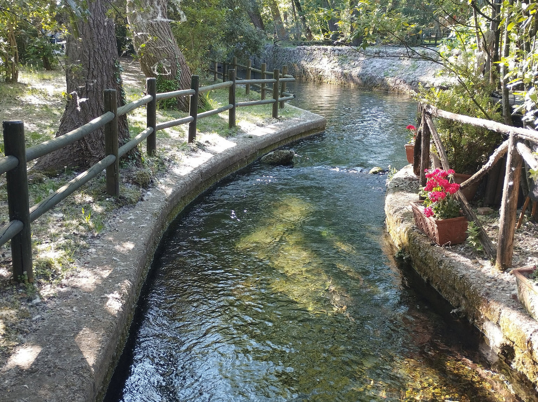 Parco del Grassano-San Salvatore Telesino必去景点