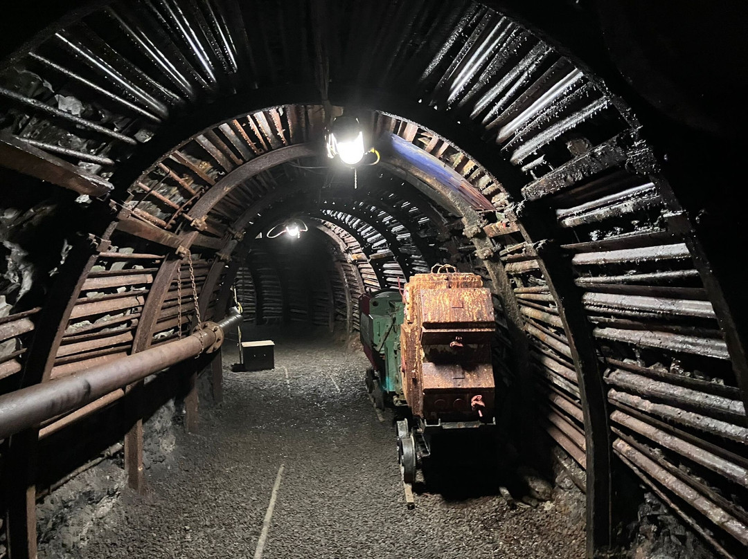 Blegny-Mine-Blegny必去景点