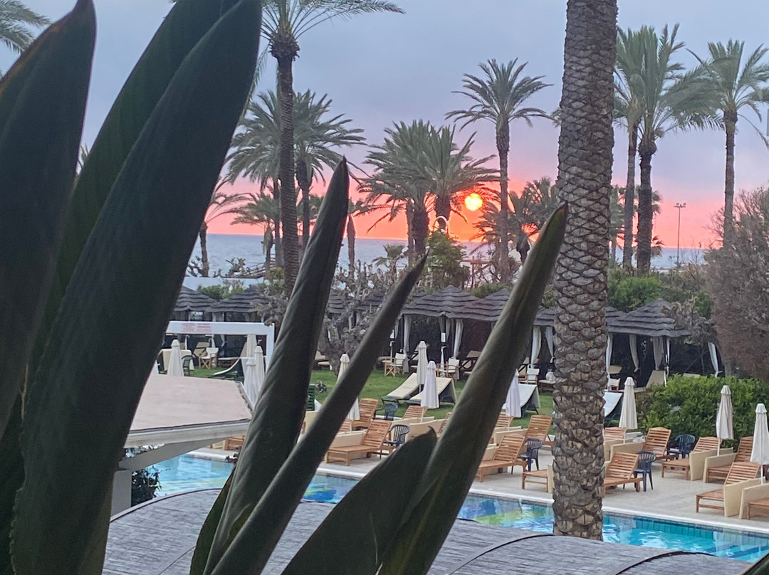 Constantinou Bros Pioneer Beach Hotel主图