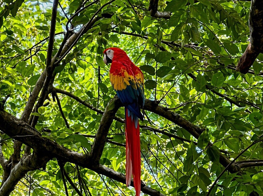 Syltravel Day Tours Puntarenas-彭塔雷纳斯必去景点