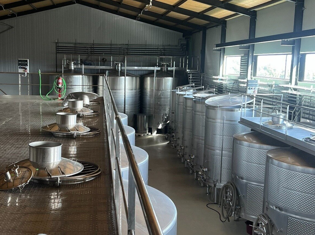 Visita y cata de vinos de la bodega Bosque de Matasnos en las tierras altas de la Ribera del Duero