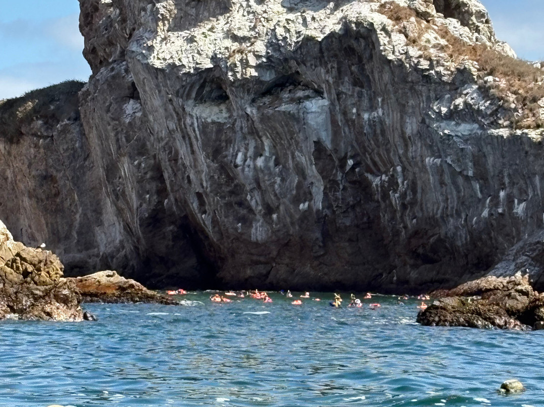 Dressel Divers Puerto Vallarta-蓬塔米塔必去景点