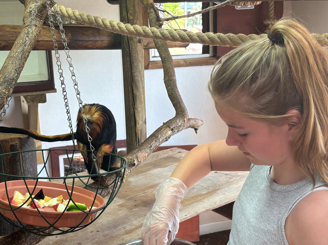 Colchester Zoo-科尔切斯特必去景点