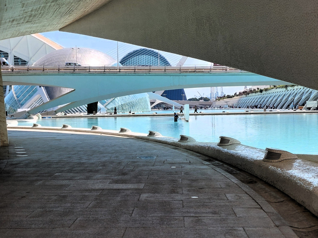 Palacio de las Artes Reina Sofía-巴伦西亚必去景点