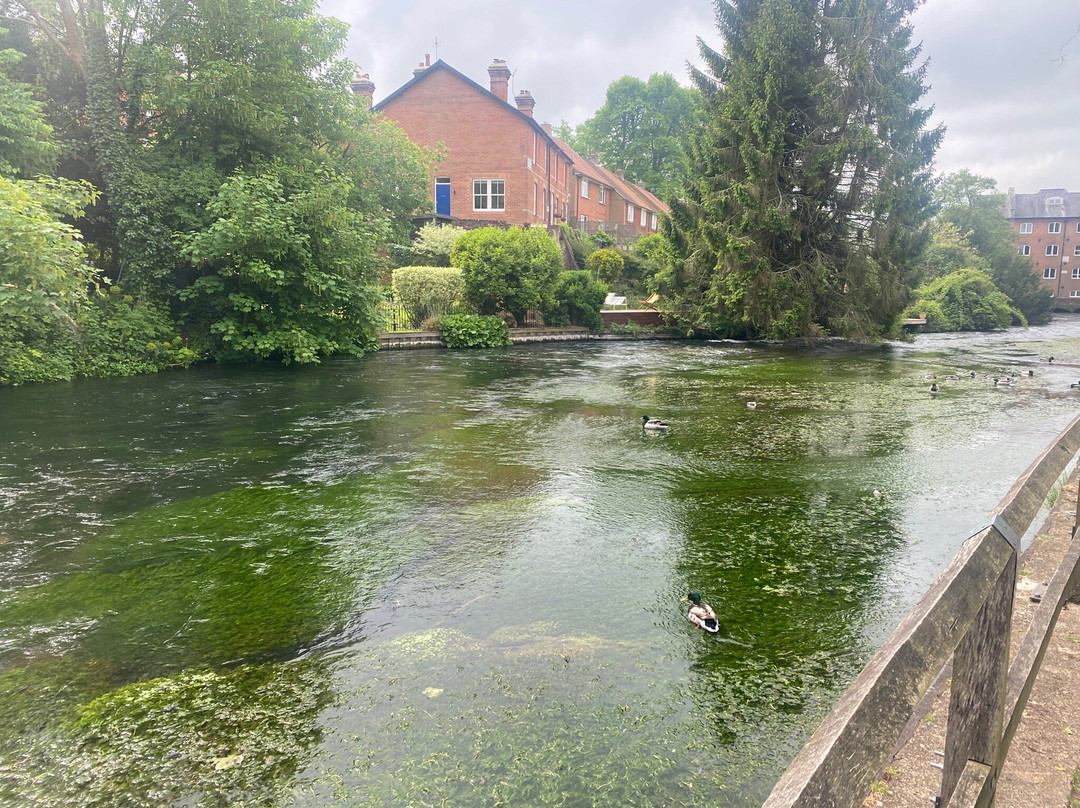 The Weirs Winchester-温彻斯特必去景点