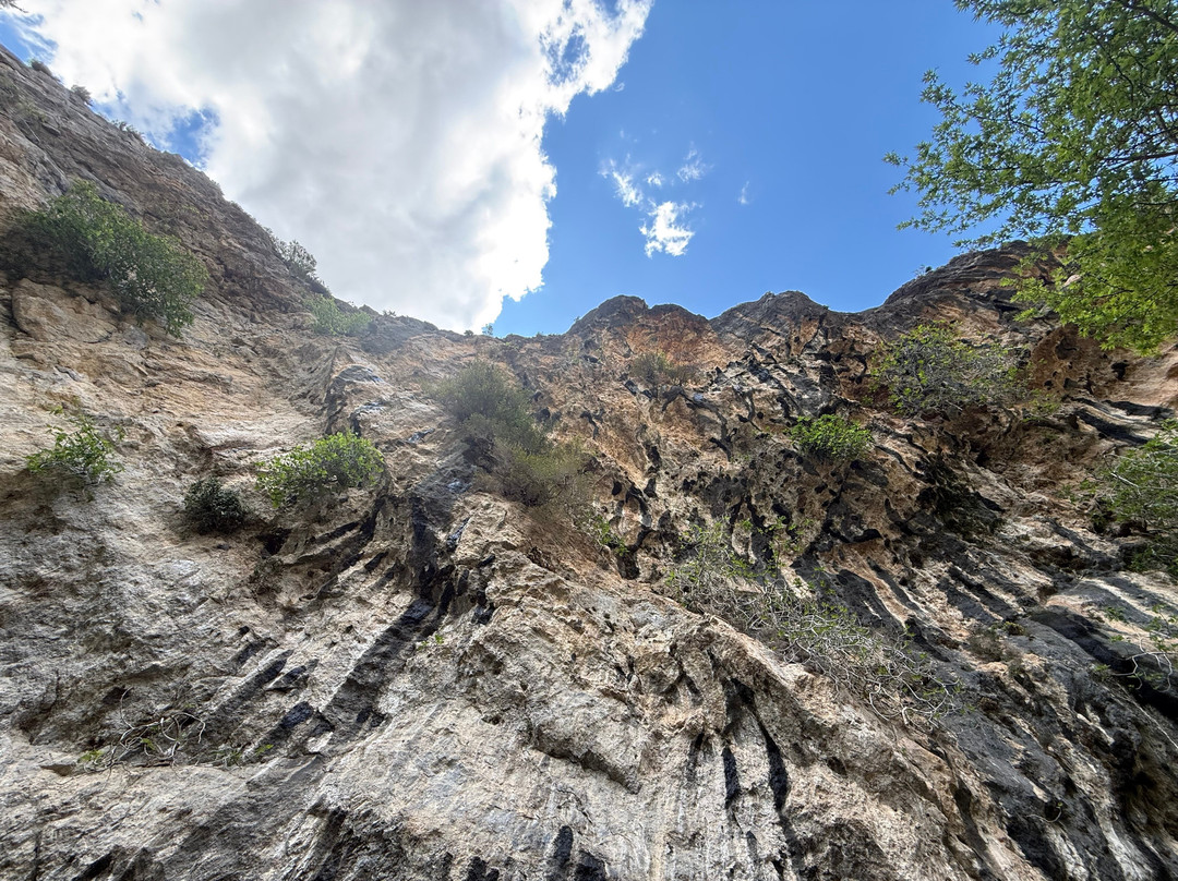 Rouvas Gorge (Agiou Nikolaou)-Zaros必去景点