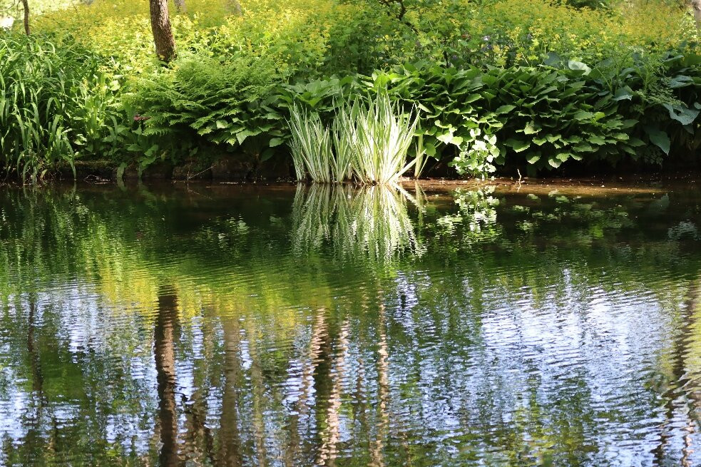 Longstock Water Gardens-Stockbridge必去景点