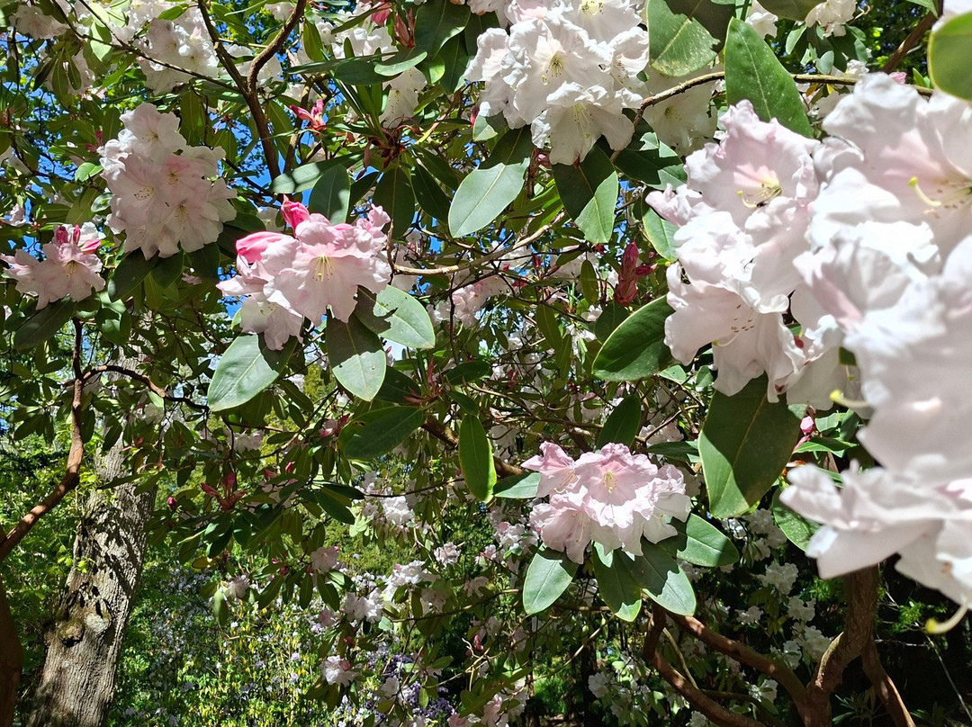 Bodnant Garden-Tal-y-Cafn必去景点