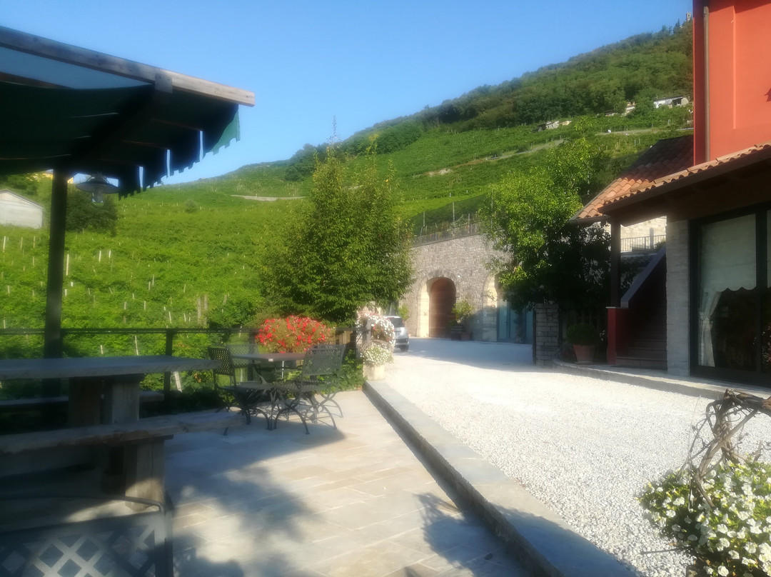 Agriturismo Vigneto Vecio主图