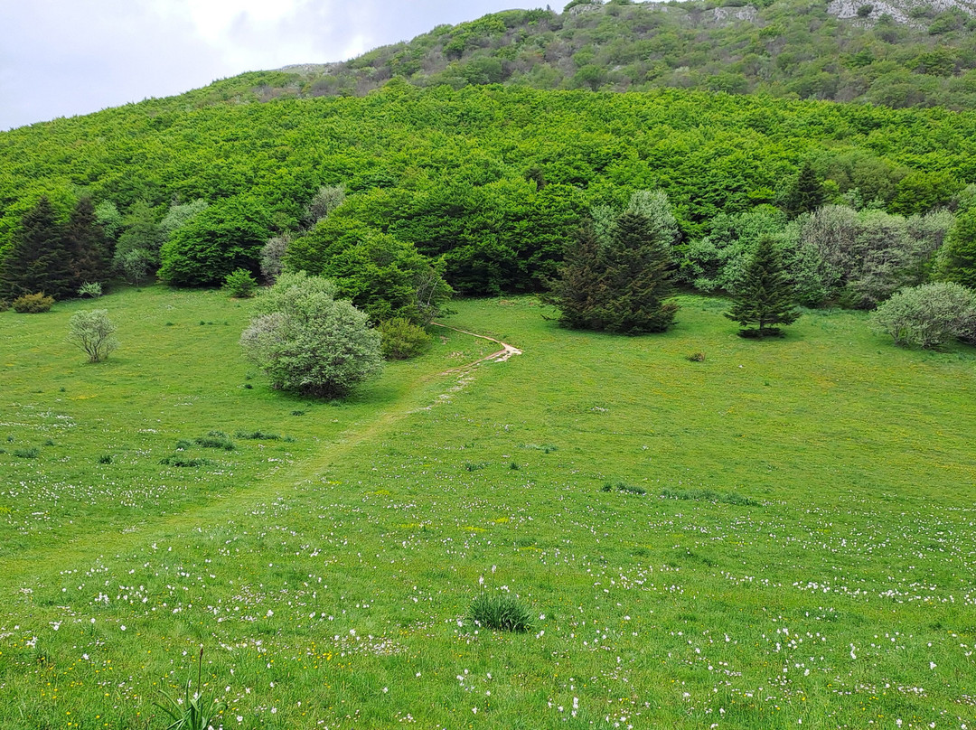 Monte San Vicino-Apiro必去景点