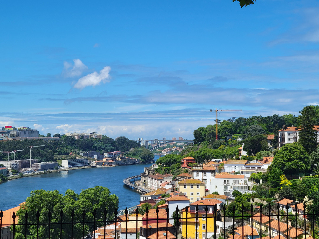 Bluedragon Porto City Tours-波尔图必去景点