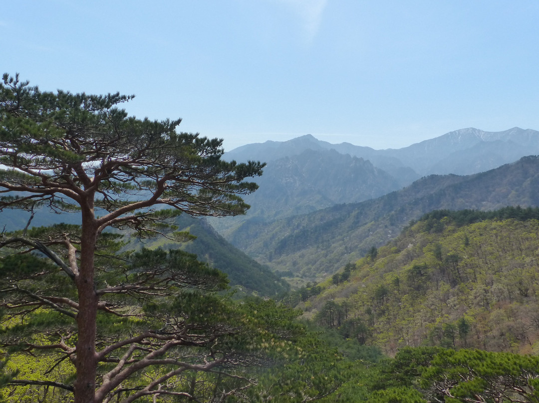 Ulsanbawi Rock-束草市必去景点