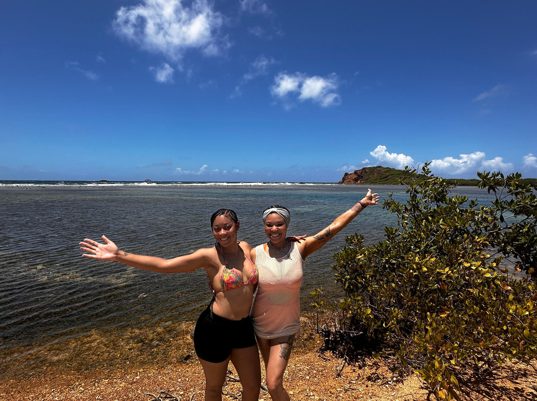Virgin Islands Ecotours-圣 托马斯必去景点