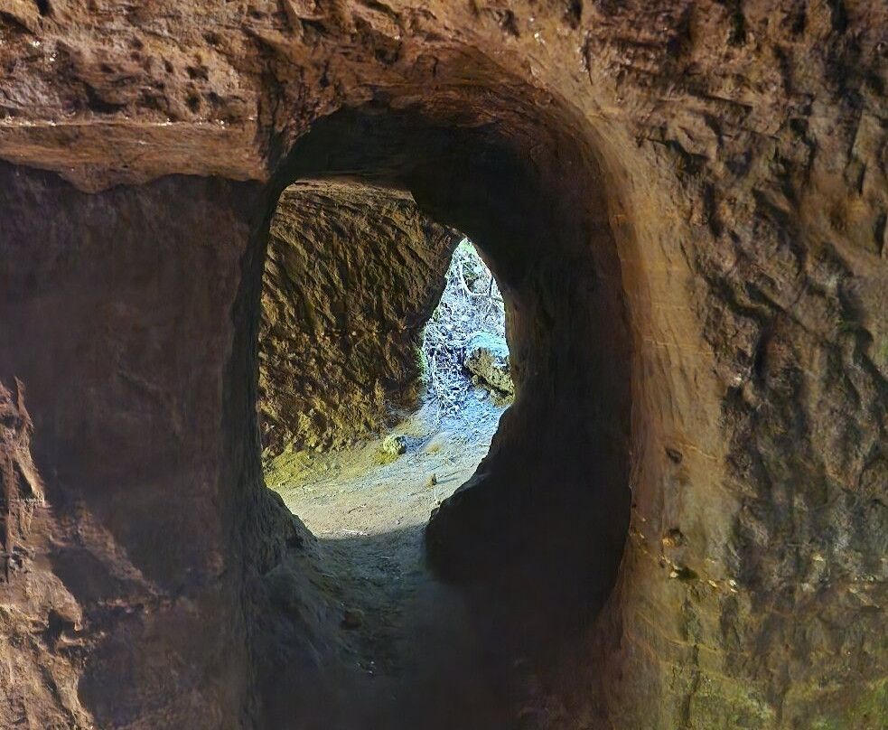 Mitchells Gully Goldmine-Charleston必去景点