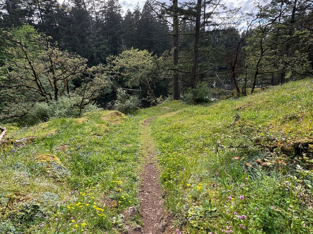 Thetis Lake Regional Park-View Royal必去景点