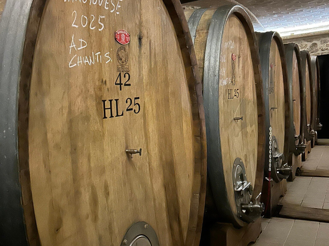 Olivi Le Buche Winery-Sarteano必去景点