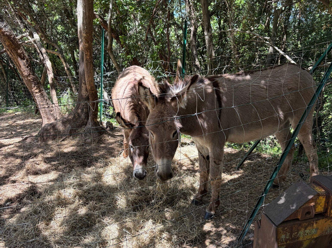 Corsica Zoo-Olmeta di Tuda必去景点