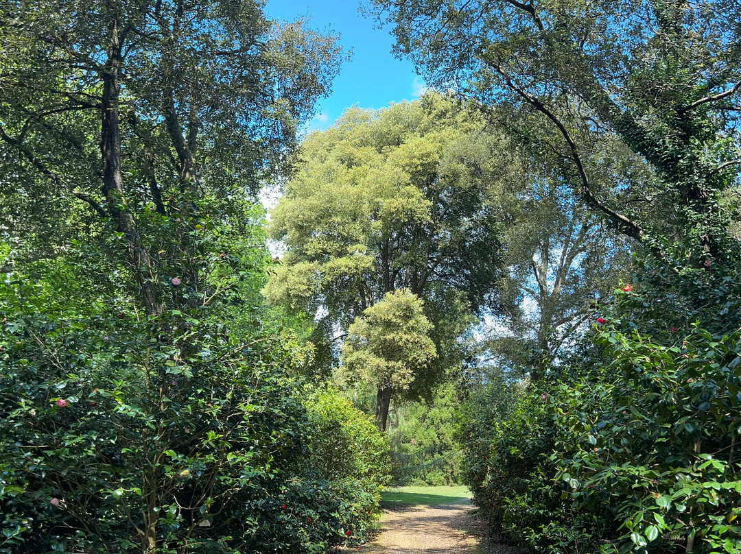 埃克斯伯里花园和蒸汽铁路-Exbury必去景点