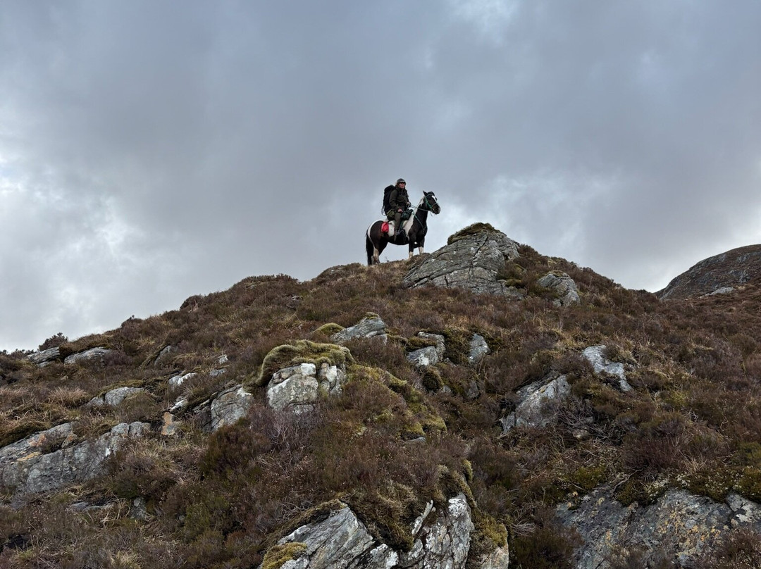 Highlands Unbridled Trail Riding & Trekking Centre-Aboyne必去景点