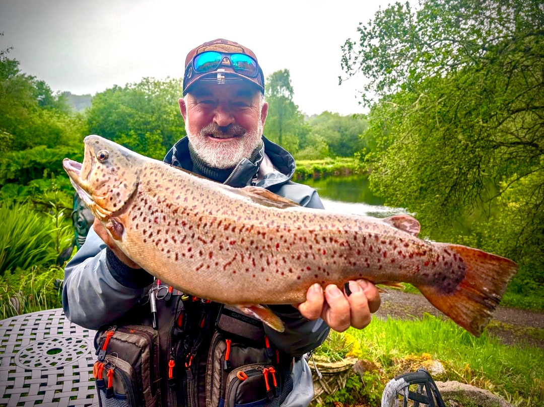 Tavistock Trout Fishery-Tavistock必去景点