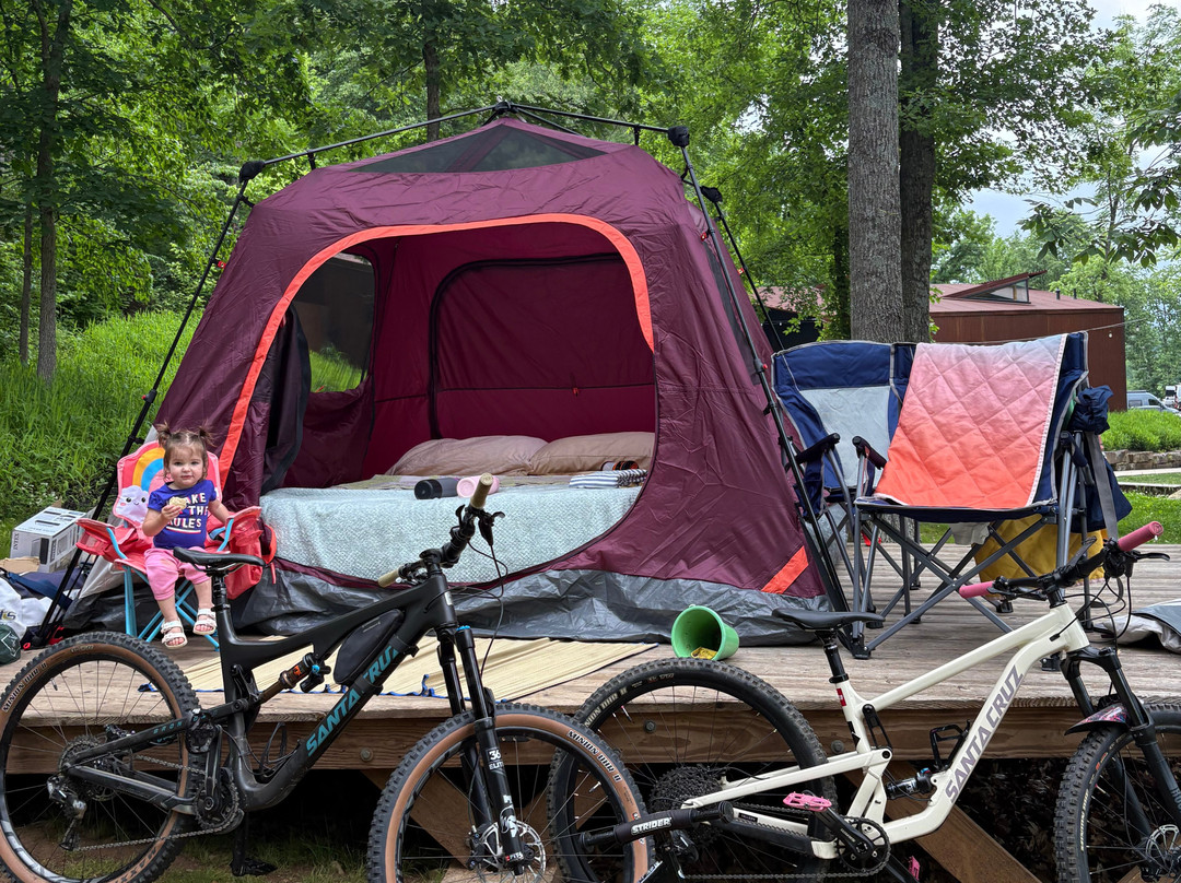 Coler Mountain Bike Preserve-本顿维尔必去景点