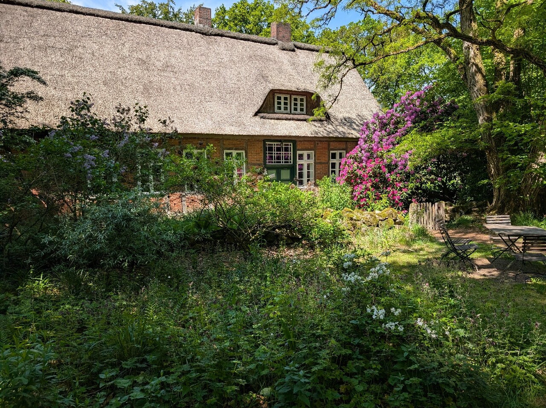 Mein Teegarten