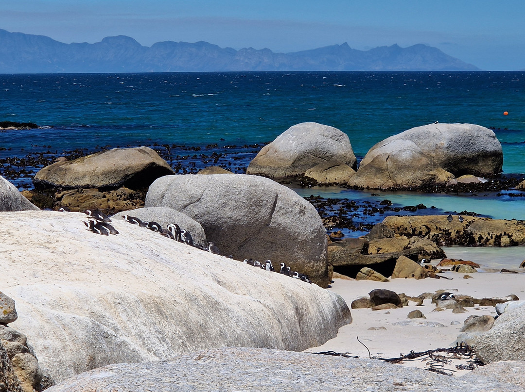 Loisico Tours and Excursions-Bloubergstrand必去景点