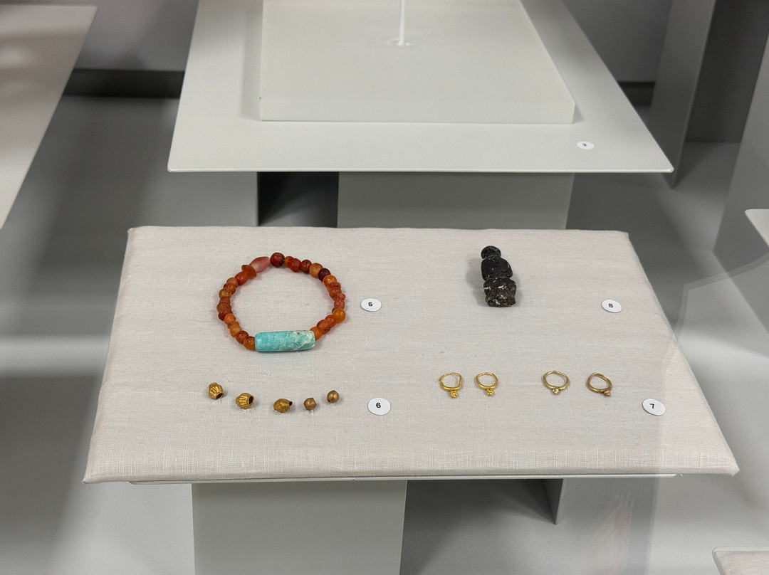 Larnaka District Archaeological Museum-拉纳加必去景点