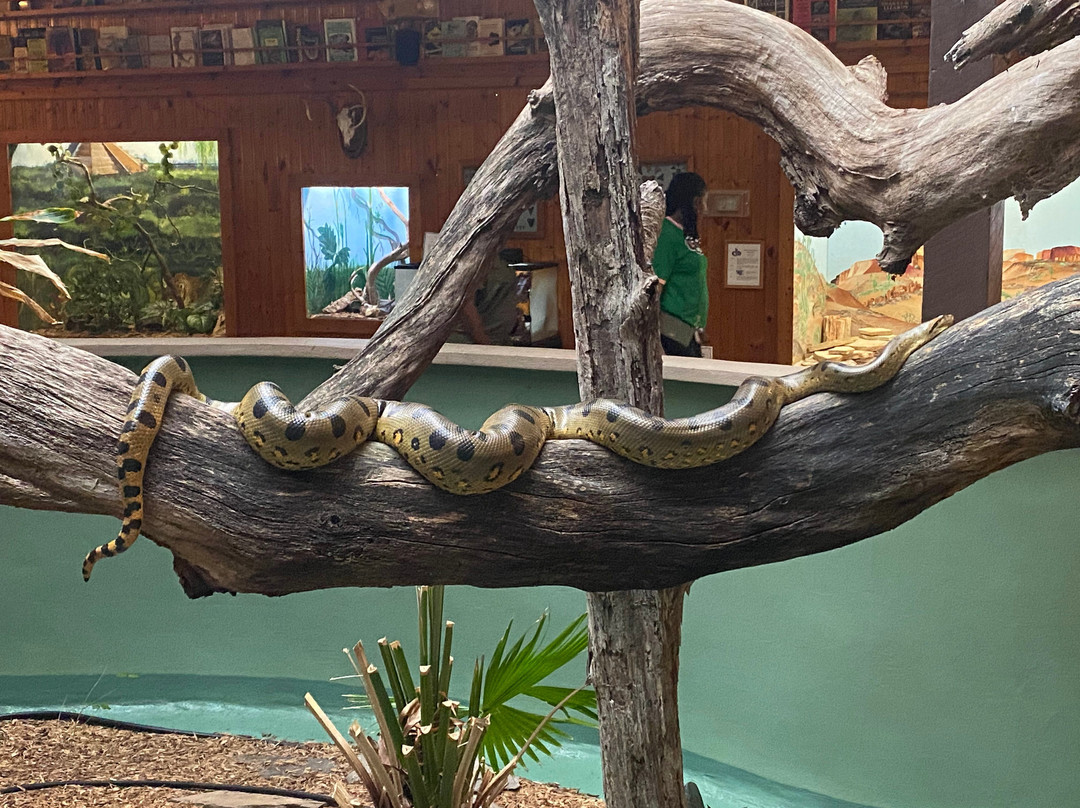 Edisto Island Serpentarium-埃迪斯托艾兰必去景点
