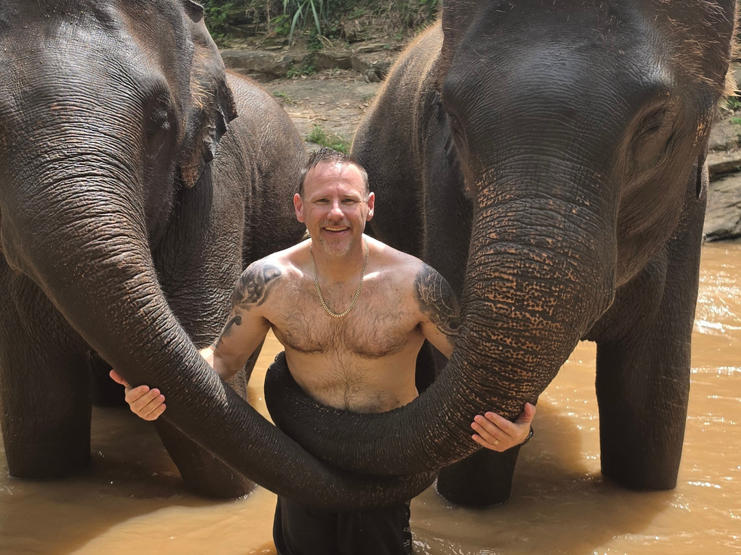 Chiang Mai Elephant Friends-夜旺必去景点